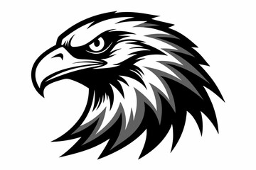 head of eagle