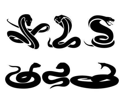 Set of snake silhouette cobra wildlife icons hand drawn illustration