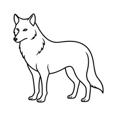 Wolf Line Art Vector Illustration and Wolf Outline, Drawing Vector Design