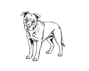 A black and white line art illustration of a dog, depicted with strong hard light creating harsh shadows, on a clear background, simple lines for easy coloring, Vector.