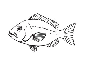 Black and white line art illustration of a fish under strong hard light, illustration vector.