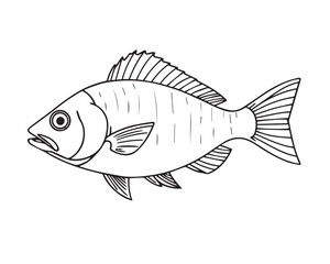 Black and white line art illustration of a fish under strong hard light, illustration vector.