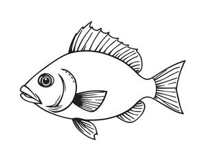 Black and white line art illustration of a fish under strong hard light, illustration vector.