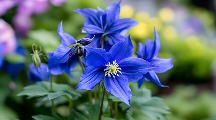 Vibrant Blue Clematis Flowers in Full Bloom in Lush Garden : Generative AI