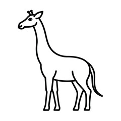 Naklejka premium Giraffe Line Art Vector Illustration and Giraffe Outline Drawing Vector Design