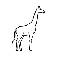 Giraffe Line Art Vector Illustration and Giraffe Outline Drawing Vector Design