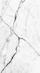 Fototapeta premium A seamless white luxury texture, reminiscent of marble with elegant gray veining. It exudes a sense of sophistication and modernity.