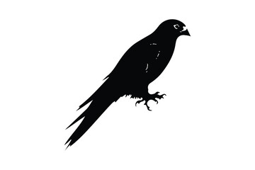 Bird with Vector Line Art  (6).eps