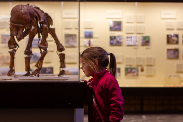 The child is a cute girl explores the Museum of Natural History, fascinated by the exhibition of...