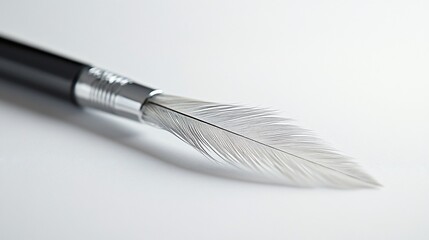 Feather pen, close-up, white background, writing concept