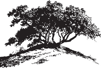 Fototapeta premium Trees. Hand drawn vector illustration