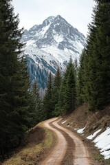 Scenic winding dirt road through mountain forest landscape