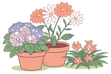 Colorful potted flowers, vibrant floral arrangement, assorted blooming plants, terracotta and ceramic pots, hydrangeas, daisies, petunias, impatiens, indoor gardening, spring colors, botanical variety