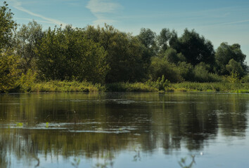 Rzeka z drzewami na brzegu