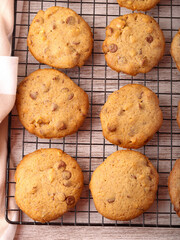 Chocolate chip and walnut cookies