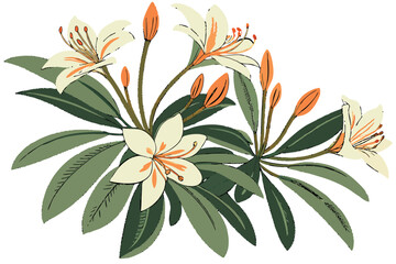  Lush blooming plant, overhead view, white and orange flowers, green foliage, circular arrangement, botanical photography, high detail, soft natural lighting, gardening catalogue aesthetic, vibrant co