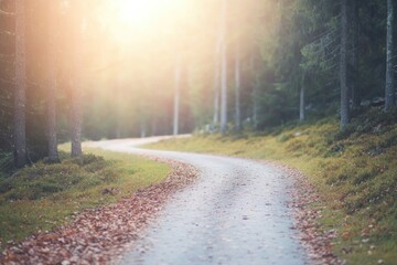 Fototapeta premium serene view of winding forest path covered in fallen leaves under soft sunlight