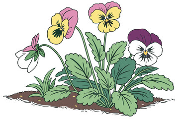  Vibrant pansies, colorful flower bed, lush green foliage, mixed pansy varieties, springtime garden display, bright floral arrangement, multicolored blooms, botanical photography, isolated on white ba