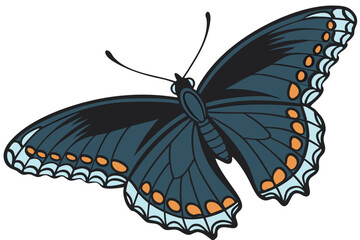 Majestic black butterfly, detailed wings, iridescent blue sheen, orange spots, scientific specimen, white background, high contrast, macro photography, symmetrical composition, entomology illustration