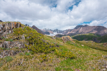 Coniferous thicket on sharp rocks in sunlight on grassy hill in green alpine valley with view to...