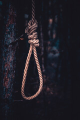 A haunting representation of despair, the rope hangs ominously in a dark forest, symbolizing an...