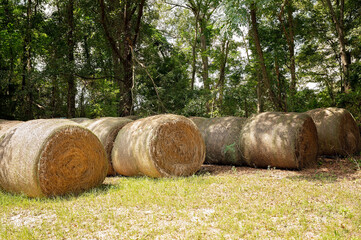 Large round hay bales stacked in a shaded rural farm setting