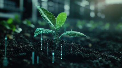 Digital growth representation of a young plant in a technology-driven greenhouse environment