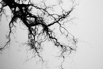 Abstract branching lines create a digital brain structure resembling neural connections in monochrome design