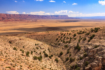 A desert landscape with a canyon in the middle