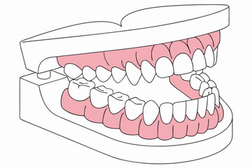 Dental model, realistic teeth, gums, 3D render, anatomical, orthodontics, dentures, oral health, medical illustration, close-up, detailed, symmetrical, pink gums, white enamel, glossy texture, educati