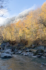 morning in a mountainous area, frost falling on the trees, the first rays of the sun awaken nature