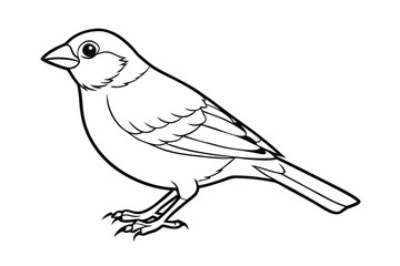 illustration of a bird