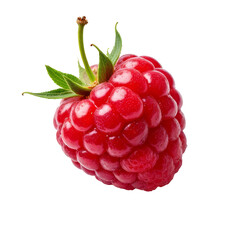 Raspberry, fresh ripe fruit isolated on transparent background, close-up shot
