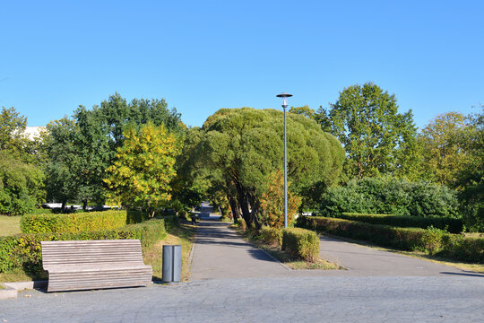 City park in early autumn in Moscow in Russia