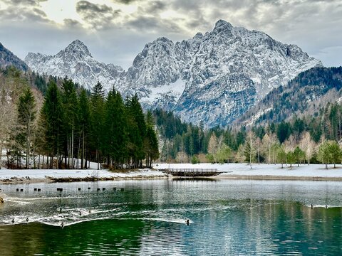 Winter landscape showing a lake with ducks creating ripples on the water. Mountains with partial snow cover. Cloudy sky enhances the contrast between bright nature and gloomy weather.