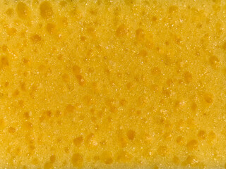 Close-up of a yellow sponge with a porous texture.