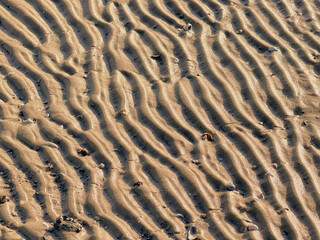 Close-up of texture of sand on beach, showcasing rows of waves and marks left by water.
