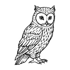 Cute line art black Owl Bird silhouette vector.