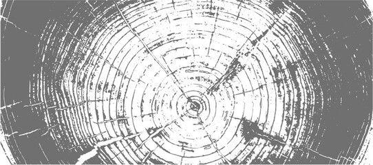 Obraz premium Gray ink stamp impression of end grain of wood slab. Tree rings art with texture and cracked surface.