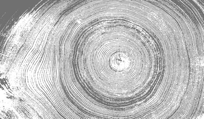 Gray ink stamp impression of end grain of wood slab. Tree rings art with texture and cracked surface.