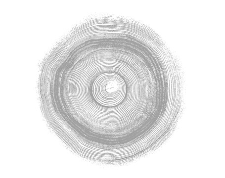 Gray ink stamp impression of end grain of wood slab. Tree rings art with texture and cracked surface.