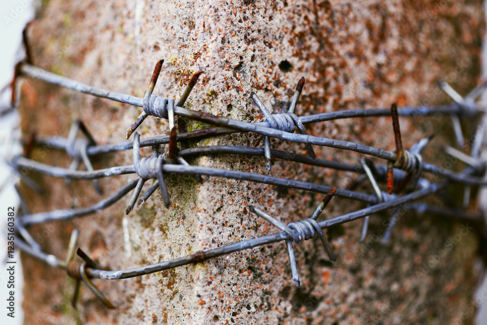 Poster A close-up view of a rusty barbed wire fence with sharp edges and twisted metal.