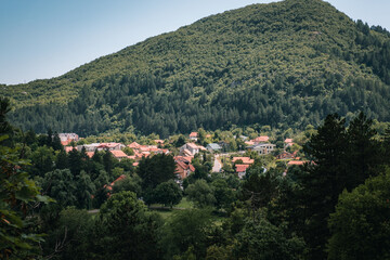 small village in Montenegro mountains and forest.