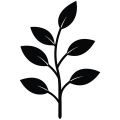 Silhouette of Growing Plant on White Background