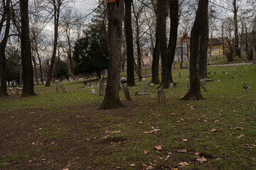 Sarajevo, gravestones