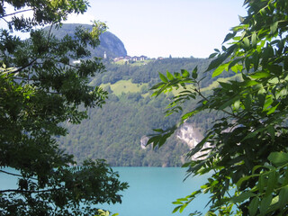 The lake and mountains above are visible between the branches