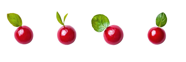 Four bright red cranberries with green leaves on transparent background png