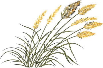  A photograph of a small bouquet of ornamental grasses, featuring feathery, golden-brown plumes and slender green stems, set against a plain white background. The grasses are arranged in a loose, natu