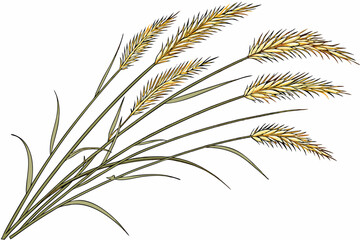 Fototapeta premium A photograph of a small bouquet of ornamental grasses, featuring feathery, golden-brown plumes and slender green stems, set against a plain white background. The grasses are arranged in a loose, natu