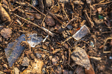 Broken glass on the forest floor.